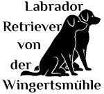 Labbis von der Wingertsmühle