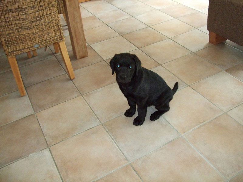 Sir Nero of Erka Castle