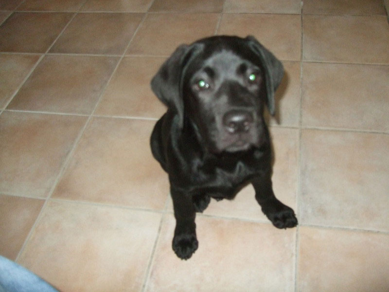 Sir Nero of Erka Castle