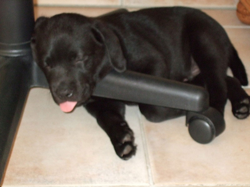 Sir Nero of Erka Castle