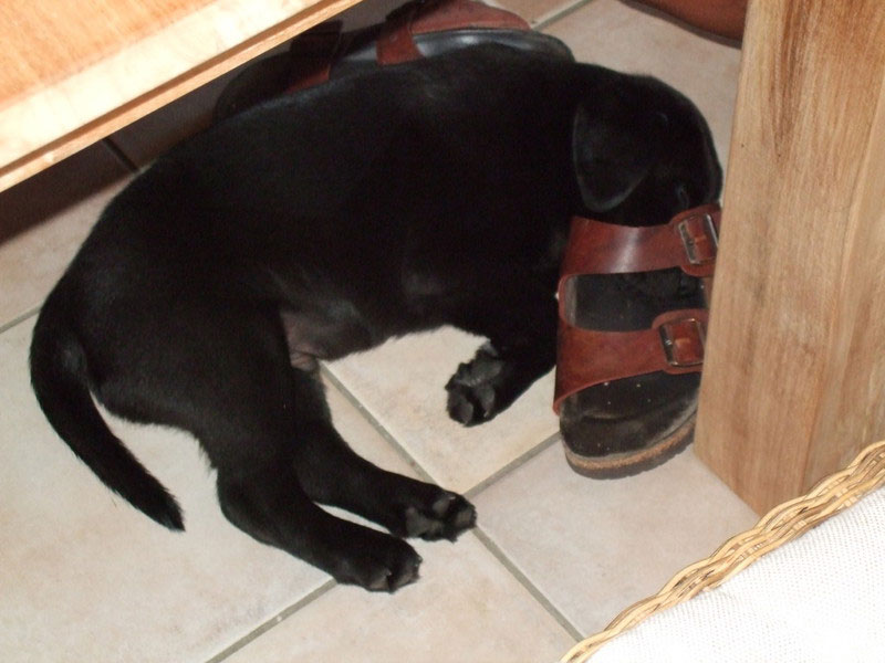 Sir Nero of Erka Castle