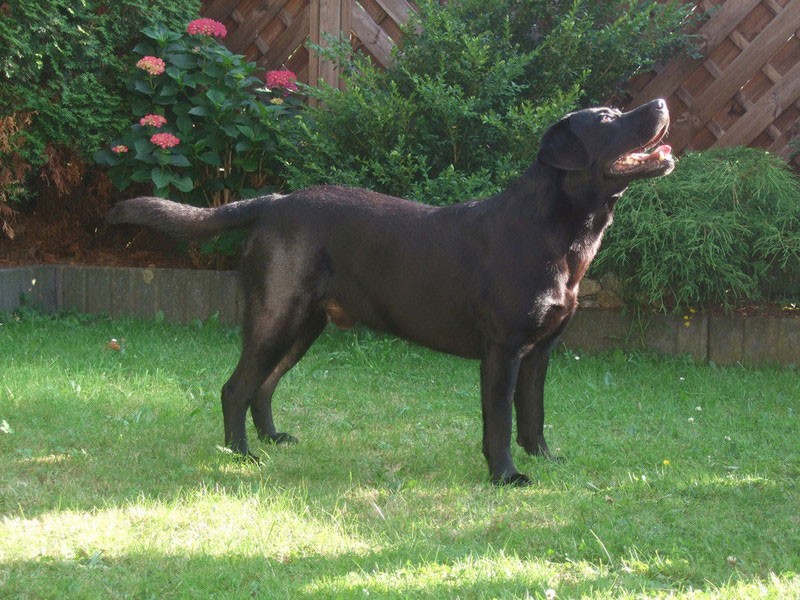 Sir Nero of Erka Castle