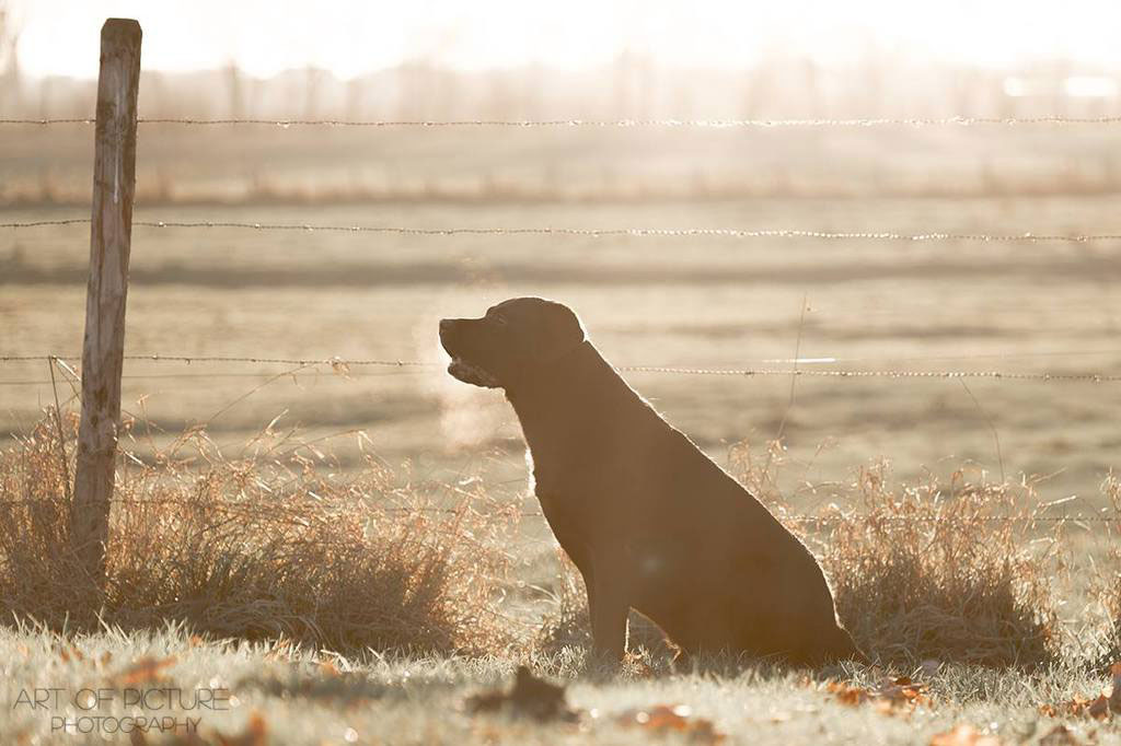 Sir Nero of Erka Castle