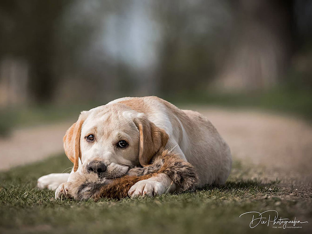 Anuedis Man On The Moon