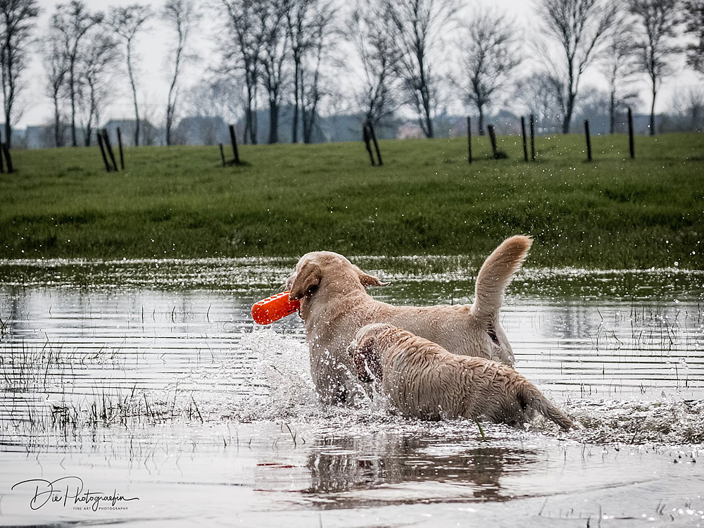 Anuedis Man On The Moon