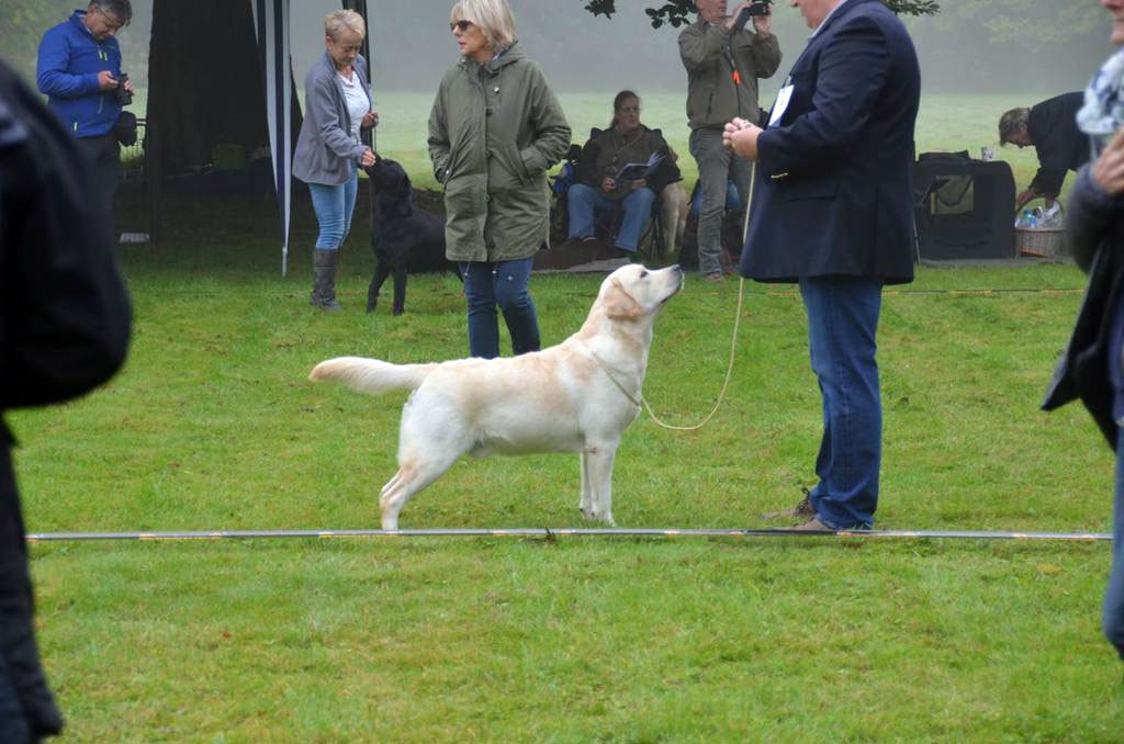 Tico005 Tico - Atticus for Loch Mor