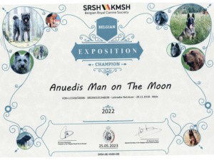 Anuedis Man On The Moon